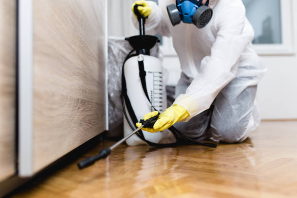 Best Pest Inspection Near Me  in Cooperstown, NY