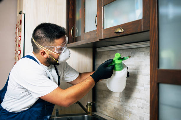 Best Pest Control for Homes  in Cooperstown, NY