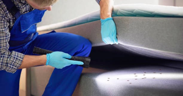 Best Affordable Exterminators  in Cooperstown, NY